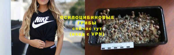 не бодяженный Алексин
