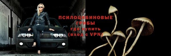 ПСИЛОЦИБИНОВЫЕ ГРИБЫ Армянск