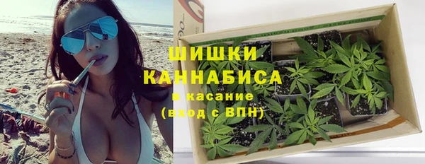 спайс Алзамай